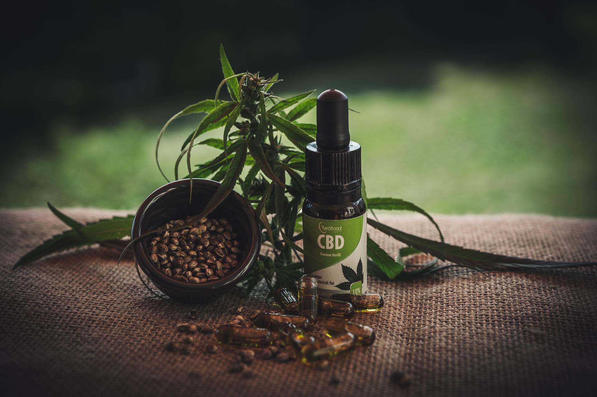 cbd-4474937_1920
